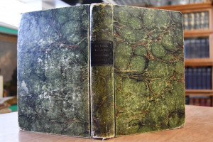 Die kleinen Leiden des Menschlichen Lebens.