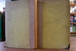 Serventois et sottes Chansons couronnes a Valen...