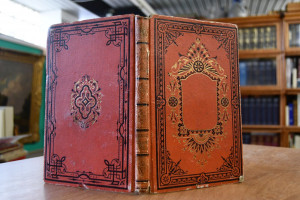 La vie et les voyages de D. Livingstone.