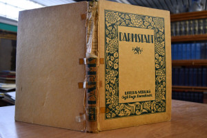 Darmstadt I. "Gedruckt in den Jahren 1917/18/19...