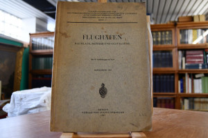 Flughäfen. Raumlage, Betrieb und Gestaltung.