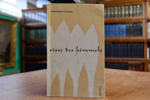 Risse des Himmels. Gedichte.