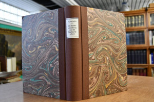 Die Staatsverwaltung und die Strafrechtsreform.