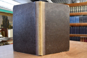 Drei Bücher der Kirche. Den Freunden der luther...