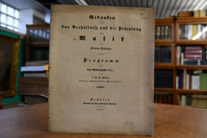 Gedanken über das Verhältniß und die Bedeutung ...