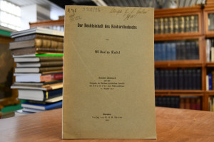 Der Rechtsinhalt des Konkordienbuchs.