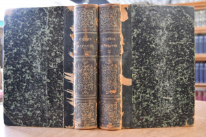 Aesthetik. Die Idee des Schönen und ihre Verwir...