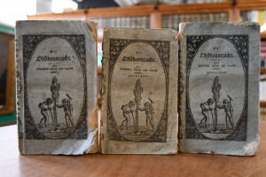 Die Obstbaumzucht, oder neue und überaus leicht...