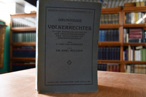 Grundzüge des Völkerrechtes. Unter Berücksichti...