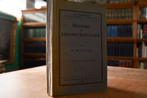 Grundzüge des positiven Völkerrechts.