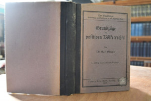 Grundzüge des positiven Völkerrechts.