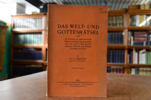 Das Welt- und Gottesrätsel oder das Problem von...