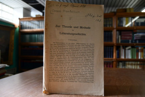 Zur Theorie und Methode der Literaturgeschichte...