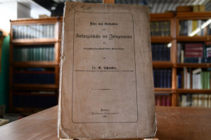 Über den Gedanken einer Kulturgeschichte der In...