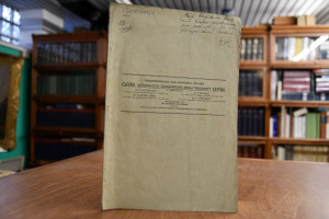 Die Rolle der Semantik in der historischen Gram...