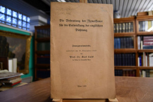 Die Bedeutung der Renaissance für die Entwicklu...