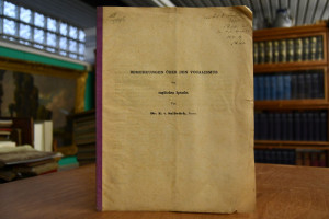 Bemerkungen über den Vocalismus der englischen ...