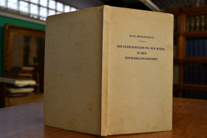 Die Leibeserziehung der Mädel in den Entwicklun...