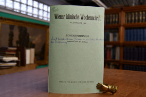 Ueber die Triebe und über deren Zustandekommen.