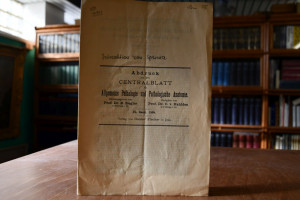 Ueber das Wesen der Jodreaction ("Florence`sche...