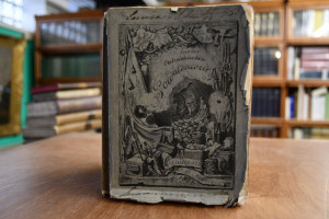 Aus der Oesterreichischen Soldatenwelt. Erlebte...