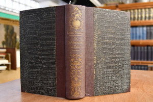 Les Bohemiennes de Paris. Les Figurantes.