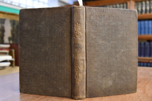 Feldbleameln (Gedichte in österreichischer Mund...