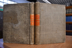 Der Leuchtthurm. Mit dem Beiblatt Deutsche Reic...