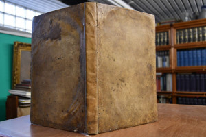 Buchhalten über Proper Commission und Compagnia...