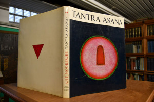 Tantra Asana. Ein Weg zur Selbstverwirklichung.