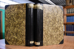 Geschichte der Deutschen Sozialdemokratie. Erst...