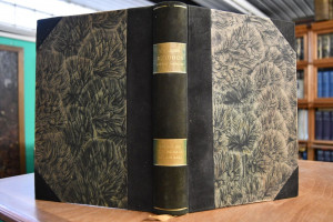 Die Reden Gotamo Buddhos aus der längeren Samml...