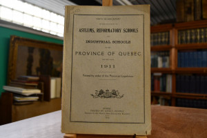 Forty-second Report of the Inspectors of Asylum...