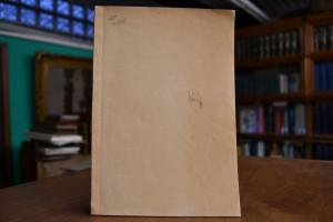 Die institutionellen Garantien des Grundgesetze...