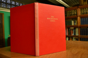 Das beschädigte Leben. Diagnose und Therapie in...