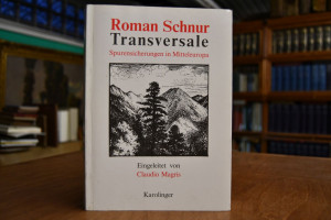 Transversale, Spurensicherungen in Mitteleuropa.