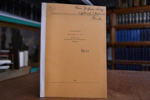 Zweitbearbeitung Art. 21 GG.