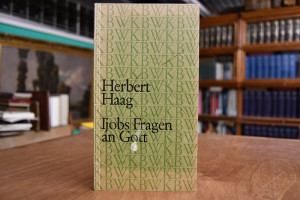 Ijobs Fragen an Gott.