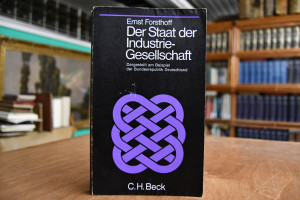 Der Staat der Industriegesellschaft. Dargestell...