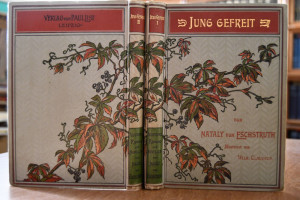 Die Bären von Hohen-Esp. Roman. Mit Illustratio...