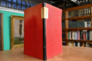 Reisebriefe des Erzherzog Carl.