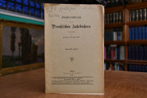 Die Tagebücher des Grafen Walujew.