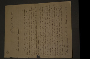 Brief des schwedischen Botanikers, ersten Direk...