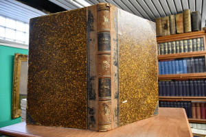 Moderne Kunst in Meister-Holzschnitten nach Gem...