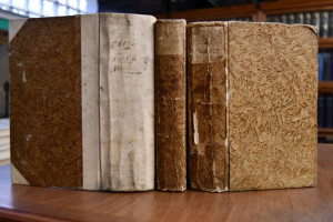 Versuch einer kirchlich-politischen Landes- und...