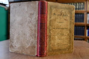 Die junge Köchin. Lehrbuch für Koch- und Hausha...