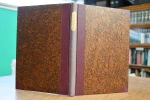 Badenfahrt. Württembergische Mineralbäder und S...