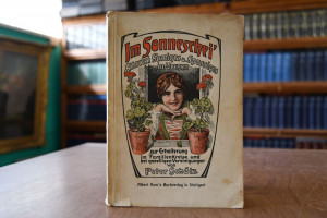 Im Sonnenschei`. Allerlei Sinniges und Spaßiges...