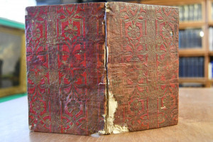 Hermanni Conringii Professoris Medici in Acad. ...