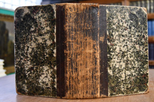 Biblia Oder Die ganze Heilige Schrift Alten und...